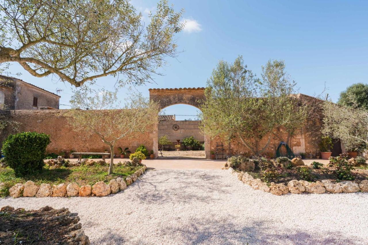 Sa Canoveta * Colònia de Sant Jordi
